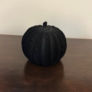 Black velvet pumpkin